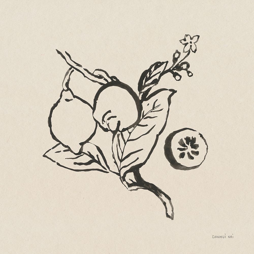 Citrus Summer II art print by Danhui Nai for $57.95 CAD