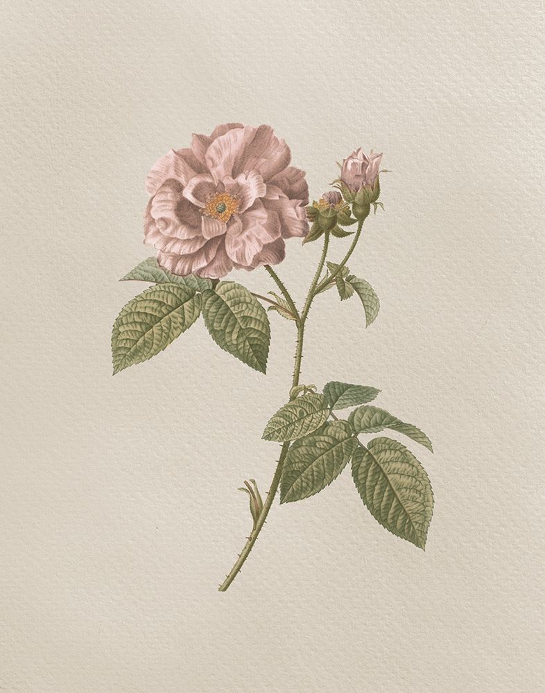 French Market Floral II art print by Wild Apple Portfolio for $57.95 CAD
