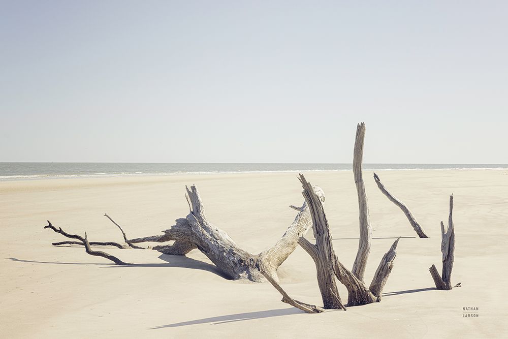 Georgia Driftwood I art print by Nathan Larson for $57.95 CAD
