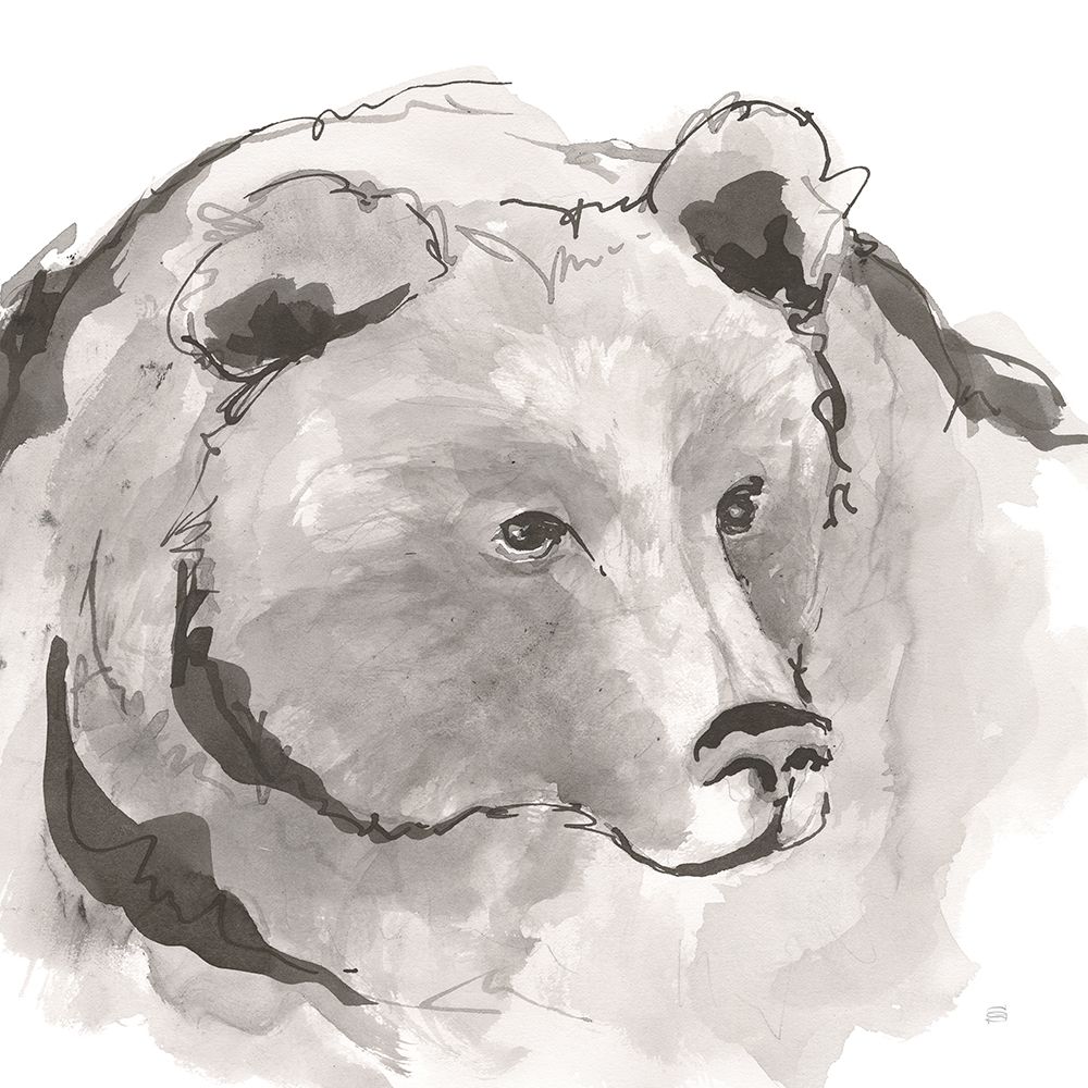 Grizzly I art print by Chris Paschke for $57.95 CAD
