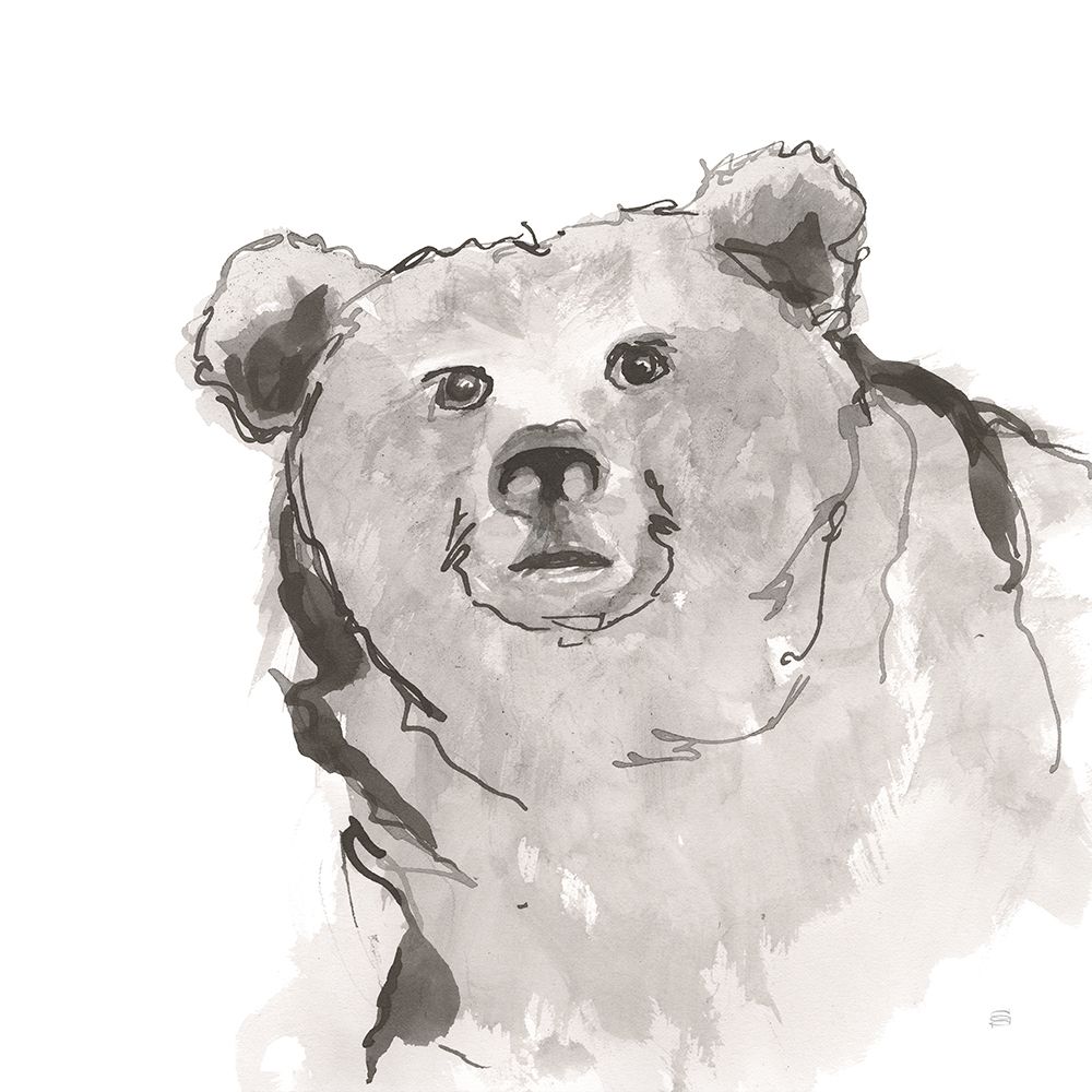 Grizzly II art print by Chris Paschke for $57.95 CAD