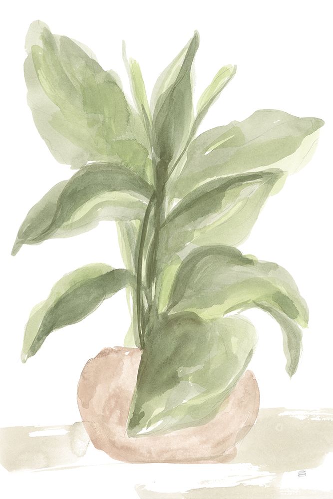 Tall Sunroom I art print by Chris Paschke for $57.95 CAD