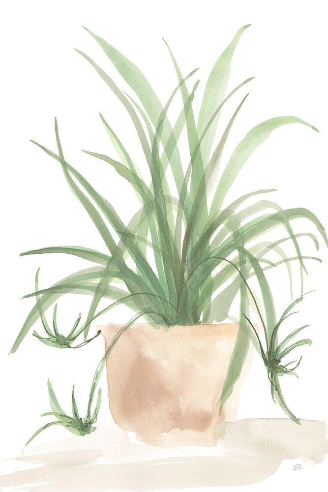 Tall Sunroom IV art print by Chris Paschke for $57.95 CAD