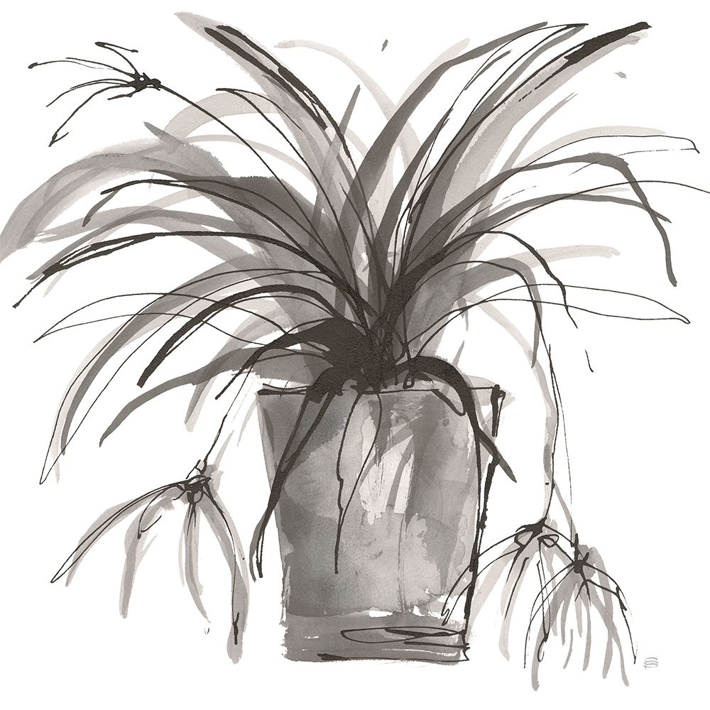 Sunroom Sketch II art print by Chris Paschke for $57.95 CAD