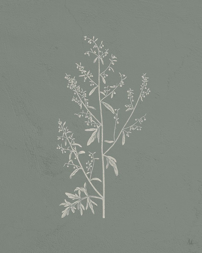 Gifts from the Meadow II Sage art print by Sarah Adams for $57.95 CAD