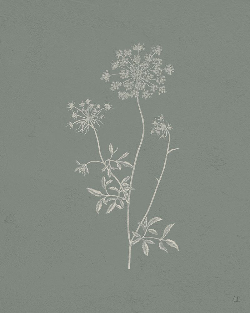 Gifts from the Meadow III Sage art print by Sarah Adams for $57.95 CAD