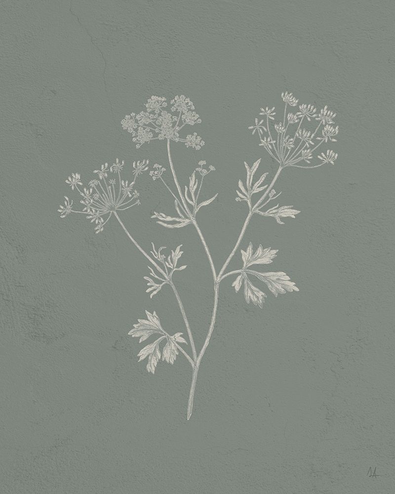 Gifts from the Meadow IV Sage art print by Sarah Adams for $57.95 CAD