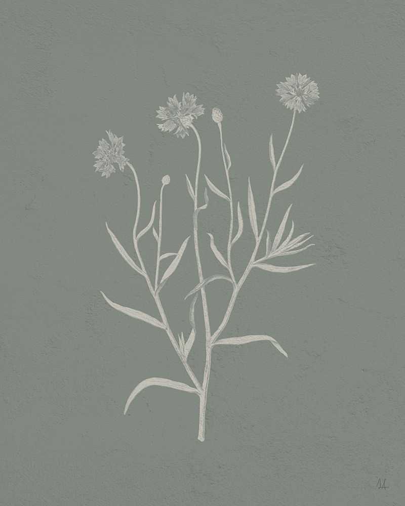 Gifts from the Meadow V Sage art print by Sarah Adams for $57.95 CAD