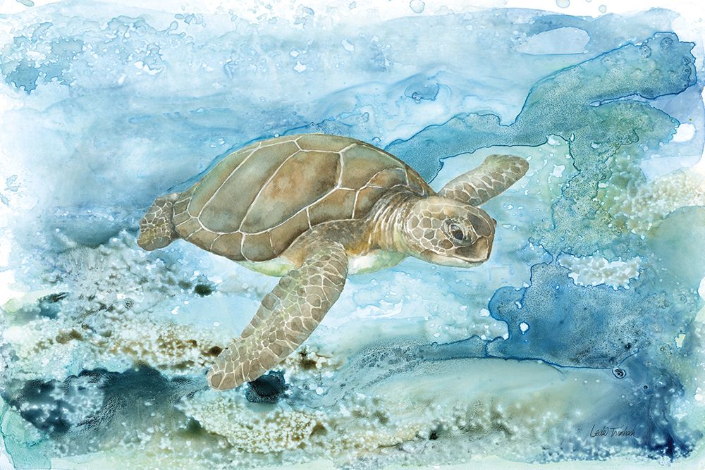 Under Sea Life I art print by Leslie Trimbach for $57.95 CAD