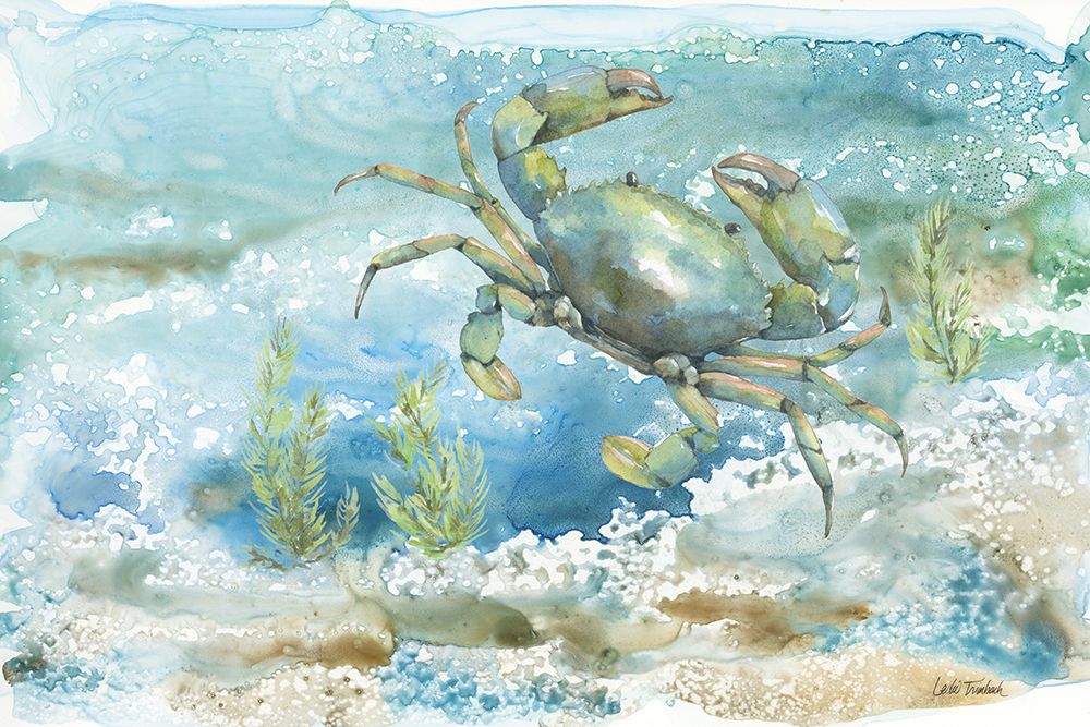 Under Sea Life III art print by Leslie Trimbach for $57.95 CAD