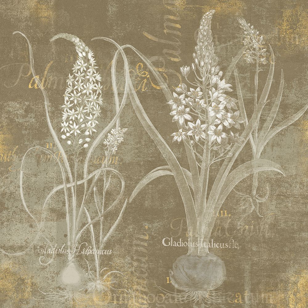 Flower Lines IV art print by Sue Schlabach for $57.95 CAD