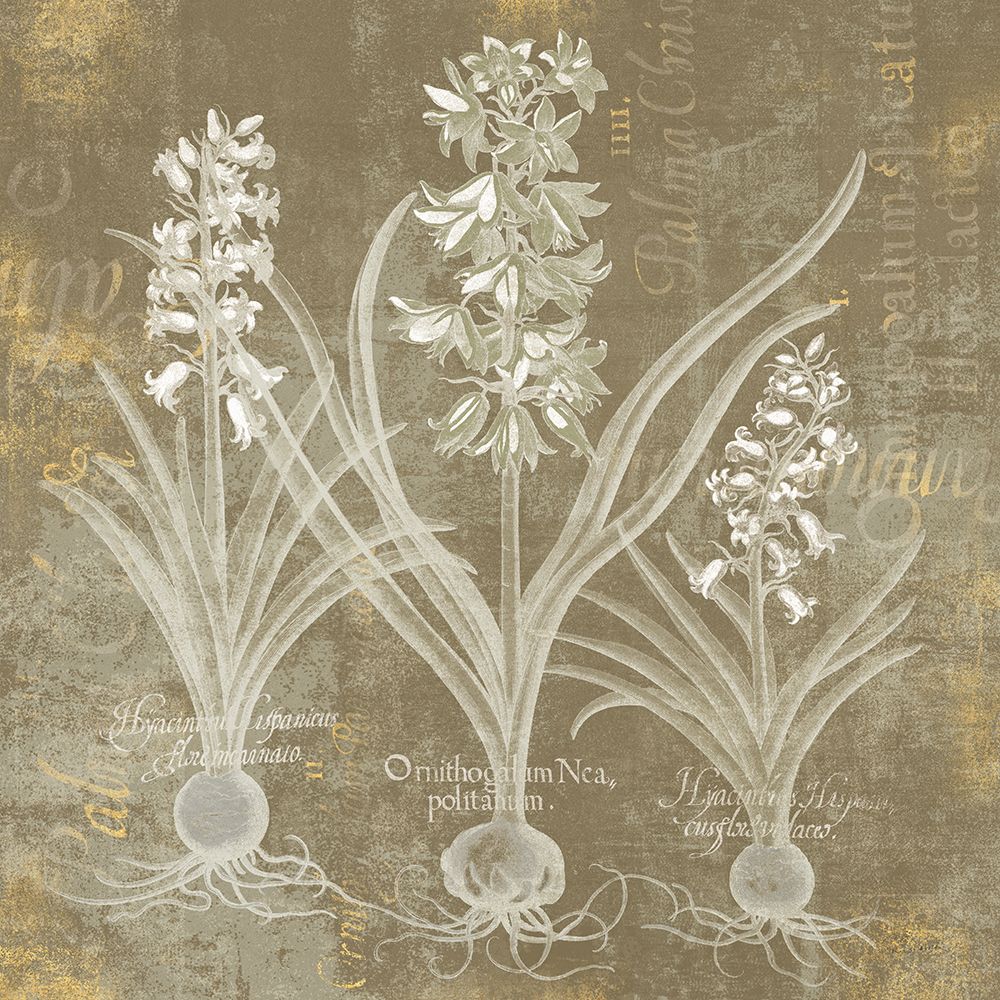 Flower Lines V art print by Sue Schlabach for $57.95 CAD