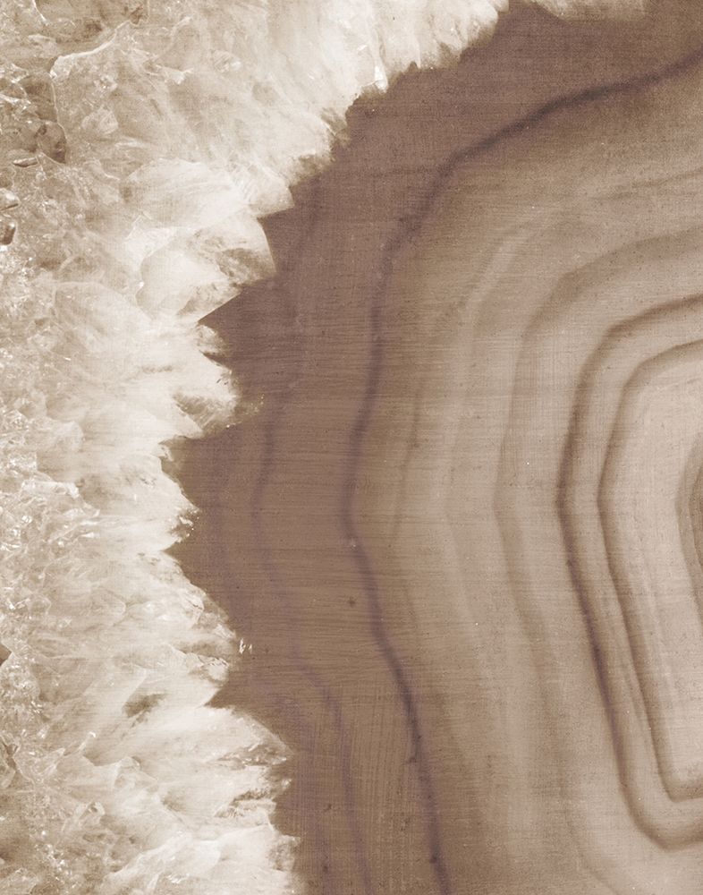 Warm Agate Geode I art print by Wild Apple Portfolio for $57.95 CAD