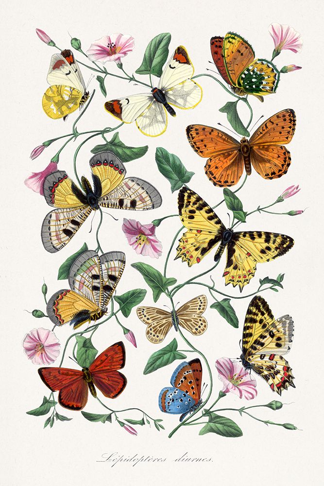 Le Jardin des Plantes art print by Wild Apple Portfolio for $57.95 CAD