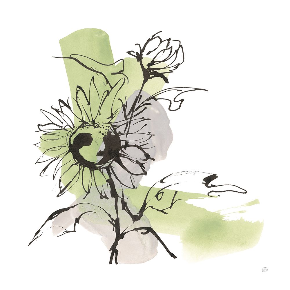 Organic Sunflower II art print by Chris Paschke for $57.95 CAD