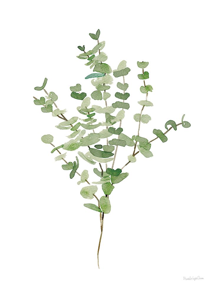Gentle Eucalyptus art print by Mercedes Lopez Charro for $57.95 CAD