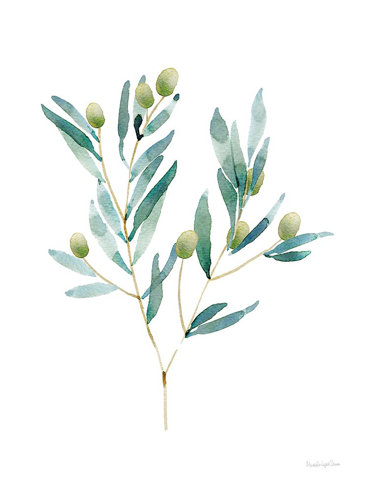 Gentle Olive Branch art print by Mercedes Lopez Charro for $57.95 CAD