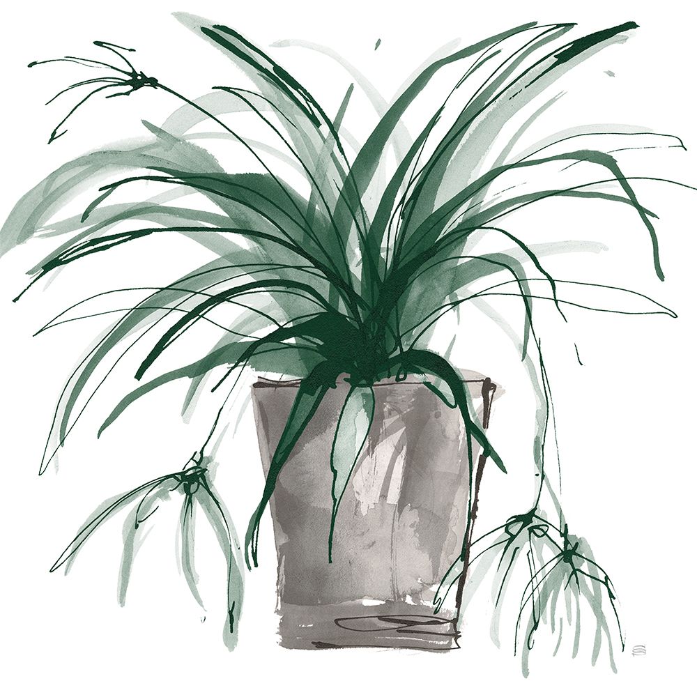 Sunroom Sketch II Green art print by Chris Paschke for $57.95 CAD