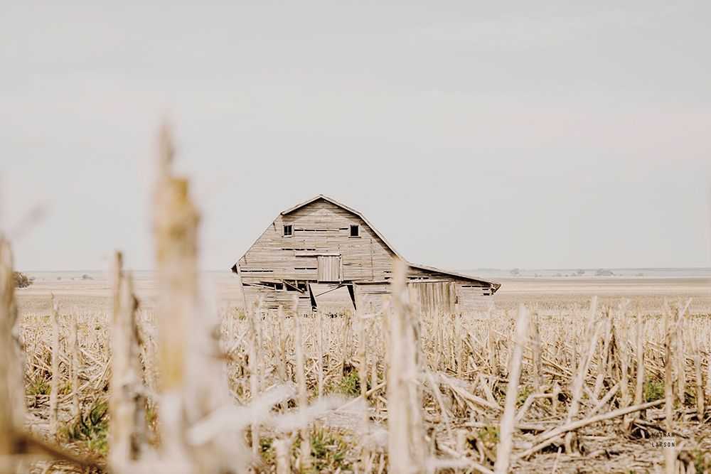 Leaning Barn Field I art print by Nathan Larson for $57.95 CAD