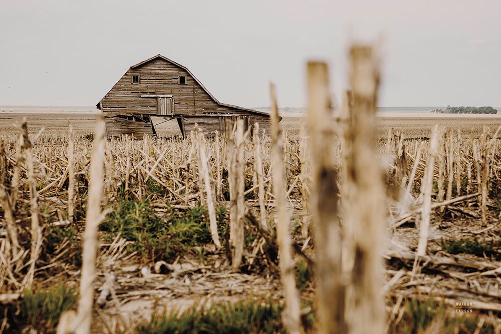 Leaning Barn Field II art print by Nathan Larson for $57.95 CAD