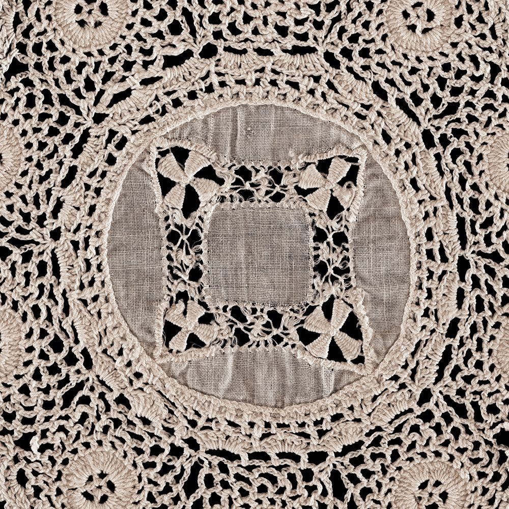 Lace II art print by Wild Apple Portfolio for $57.95 CAD