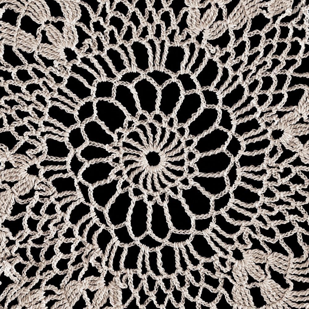 Lace IV art print by Wild Apple Portfolio for $57.95 CAD
