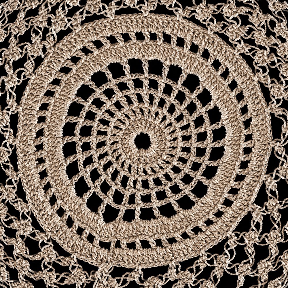 Lace V art print by Wild Apple Portfolio for $57.95 CAD