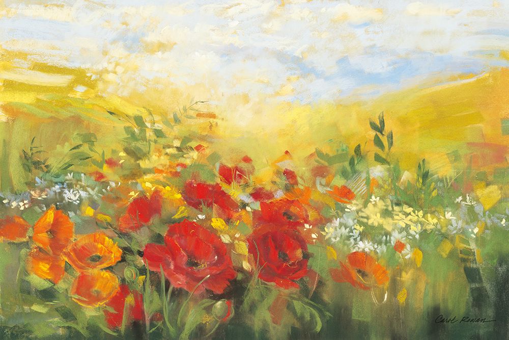 Oriental Poppy Field III art print by Carol Rowan for $57.95 CAD