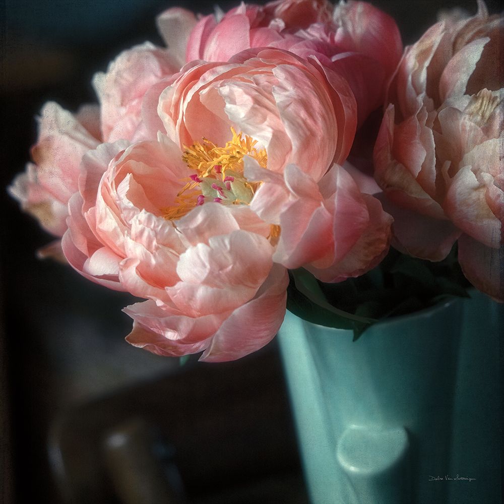 Coral Peonies I art print by Debra Van Swearingen for $57.95 CAD