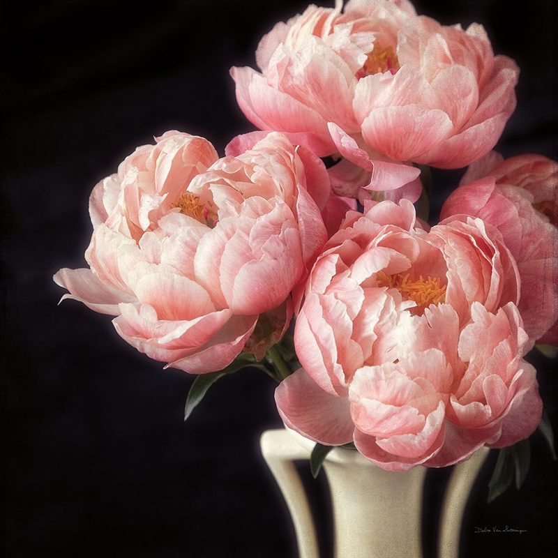 Coral Peonies VI art print by Debra Van Swearingen for $57.95 CAD