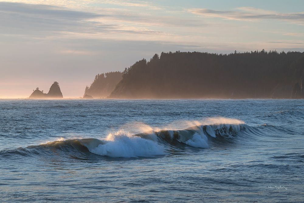 Rialto Beach Waves art print by Alan Majchrowicz for $57.95 CAD