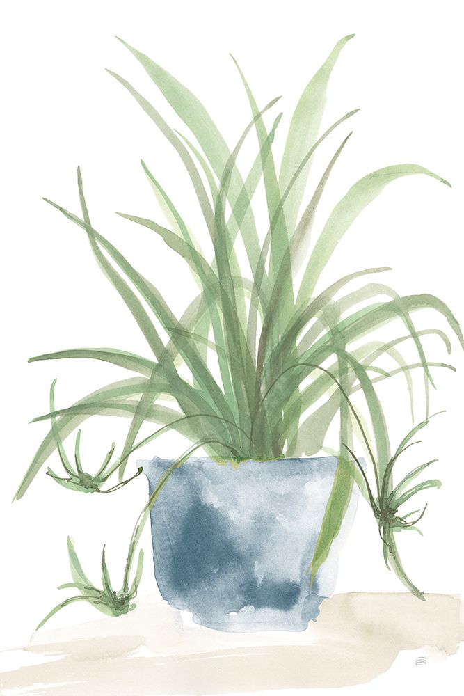 Tall Sunroom IV Blue art print by Chris Paschke for $57.95 CAD