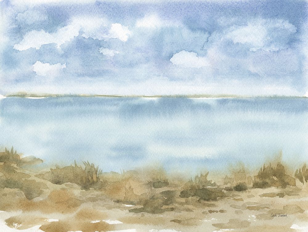 Cape Cod I art print by Leslie Trimbach for $57.95 CAD