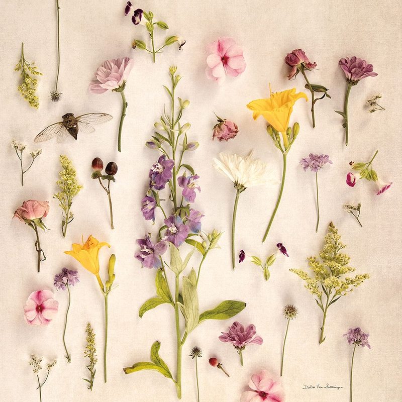 Cottage Flora I art print by Debra Van Swearingen for $57.95 CAD