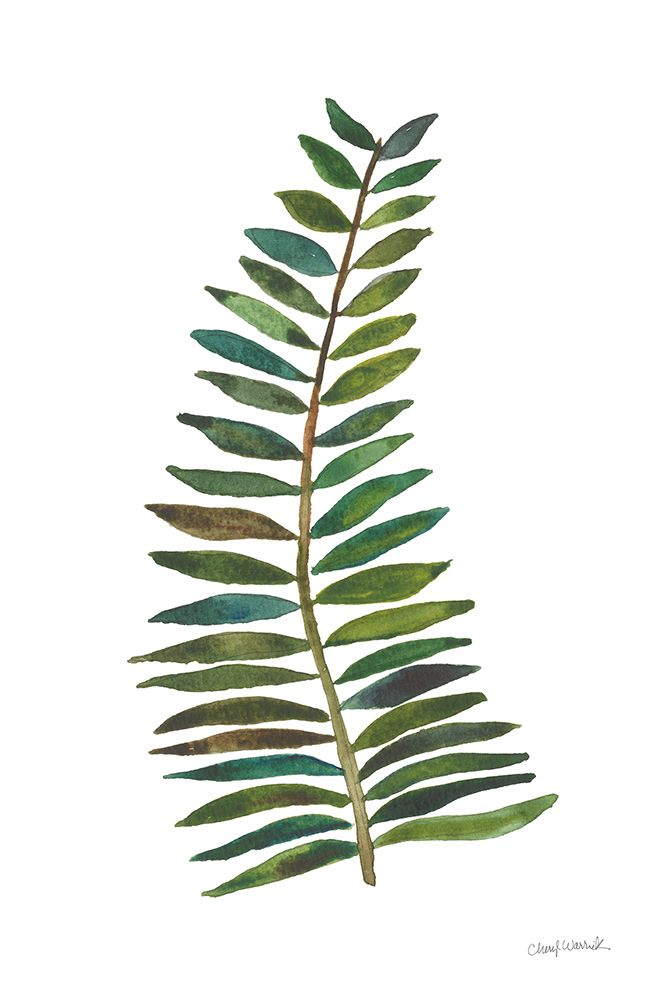 Forest Fern Trio II art print by Cheryl Warrick for $57.95 CAD