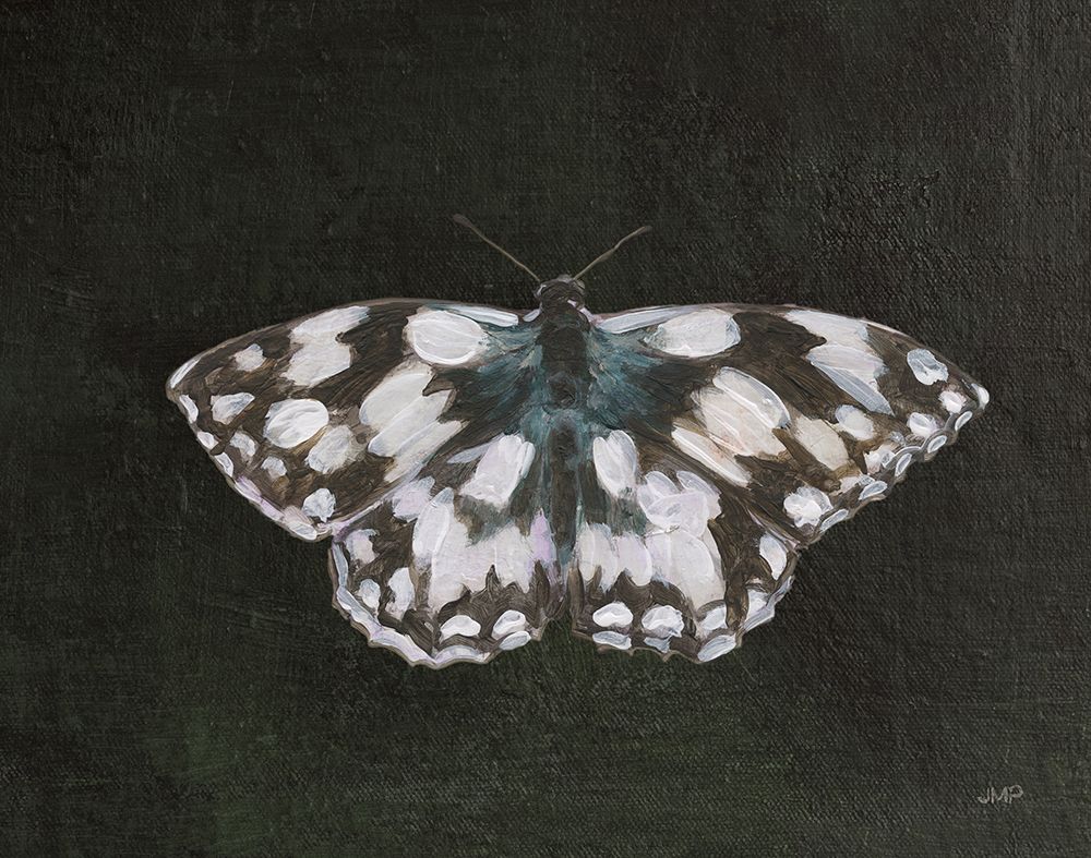 Garden Beauties IV Black art print by Julia Purinton for $57.95 CAD