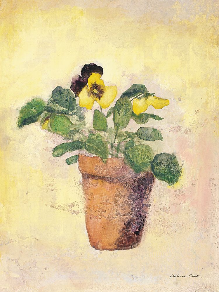 Pansy Giant Fancy art print by Michael Clark for $57.95 CAD
