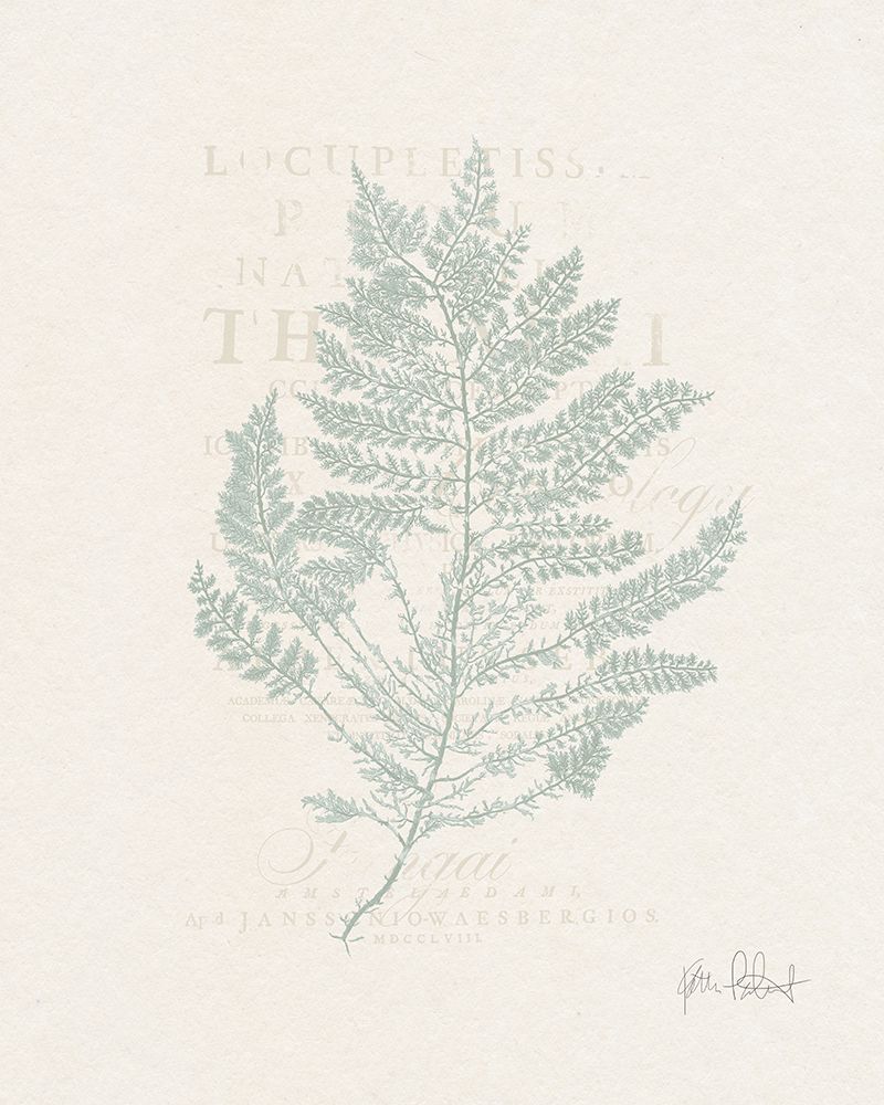 Blue Sea Garden III art print by Katie Pertiet for $57.95 CAD