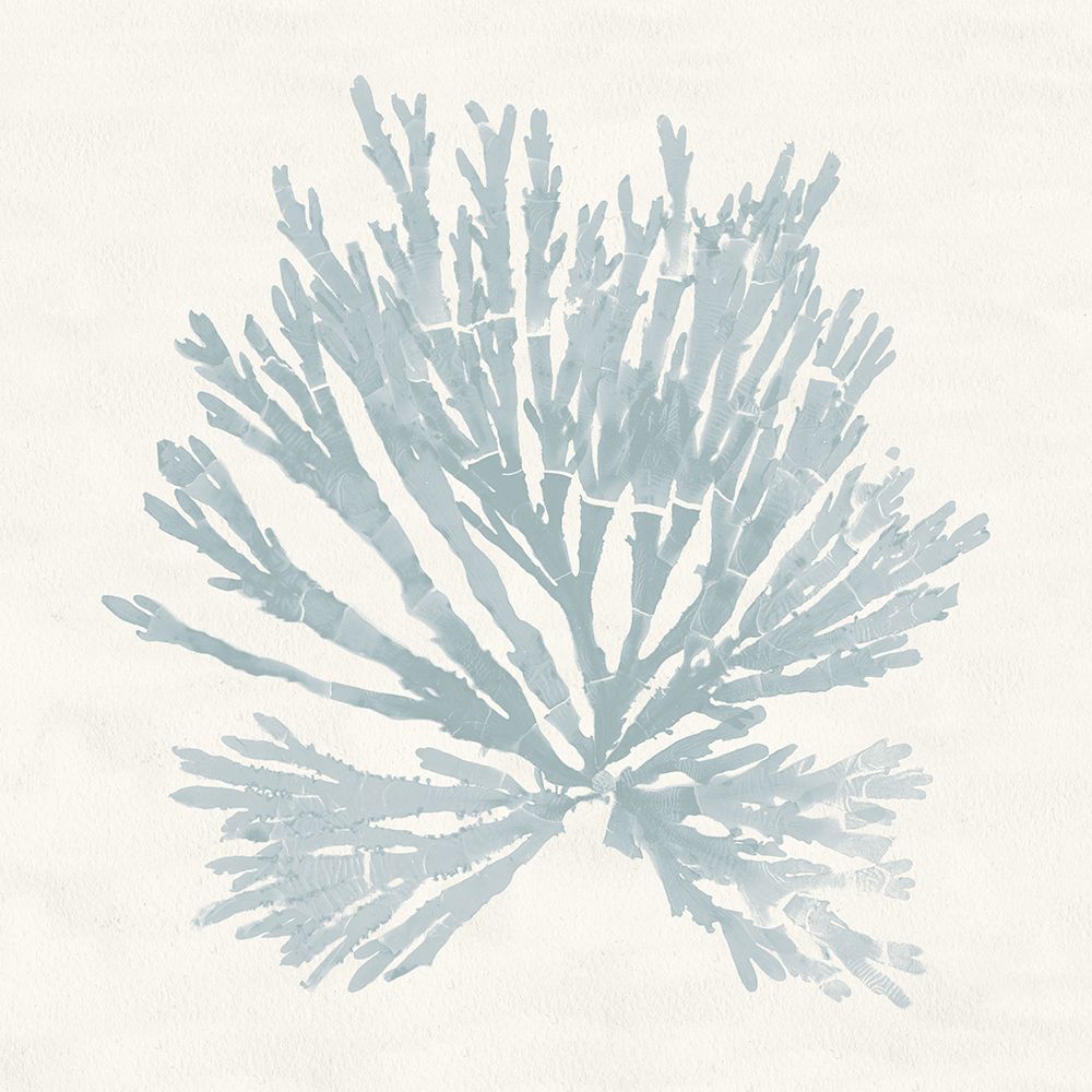 Pacific Sea Mosses II Blue art print by Wild Apple Portfolio for $57.95 CAD