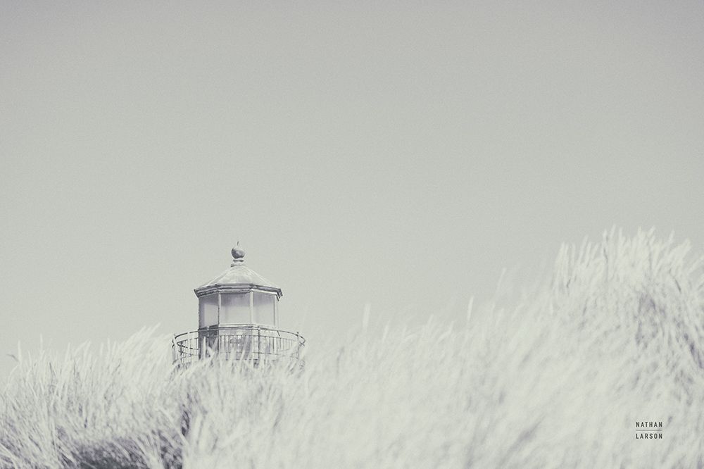 Peering Over BW art print by Nathan Larson for $57.95 CAD