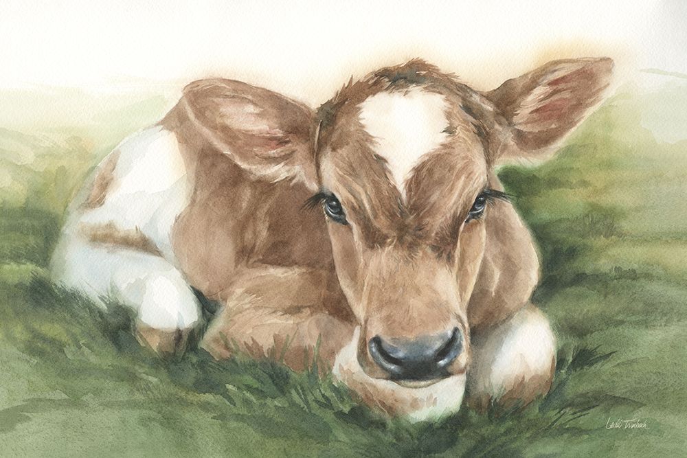 Gentle Calf art print by Leslie Trimbach for $57.95 CAD