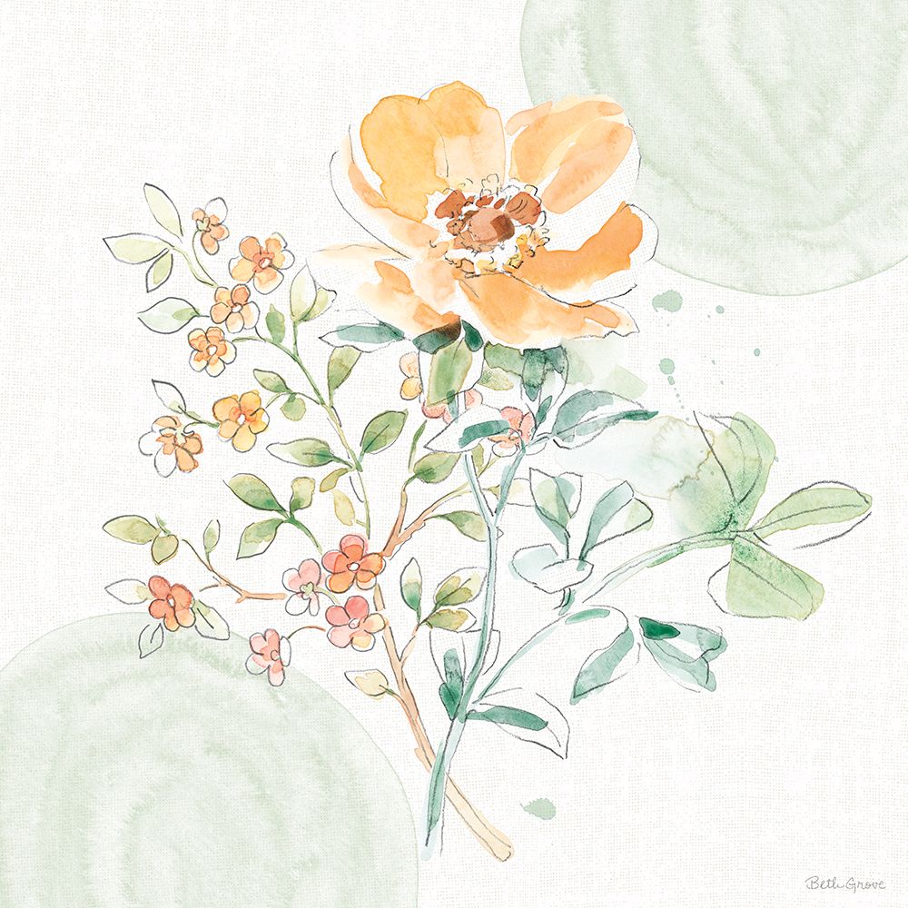 Soft Petals IV art print by Beth Grove for $57.95 CAD