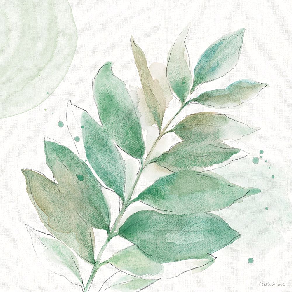 Soft Petals VI art print by Beth Grove for $57.95 CAD