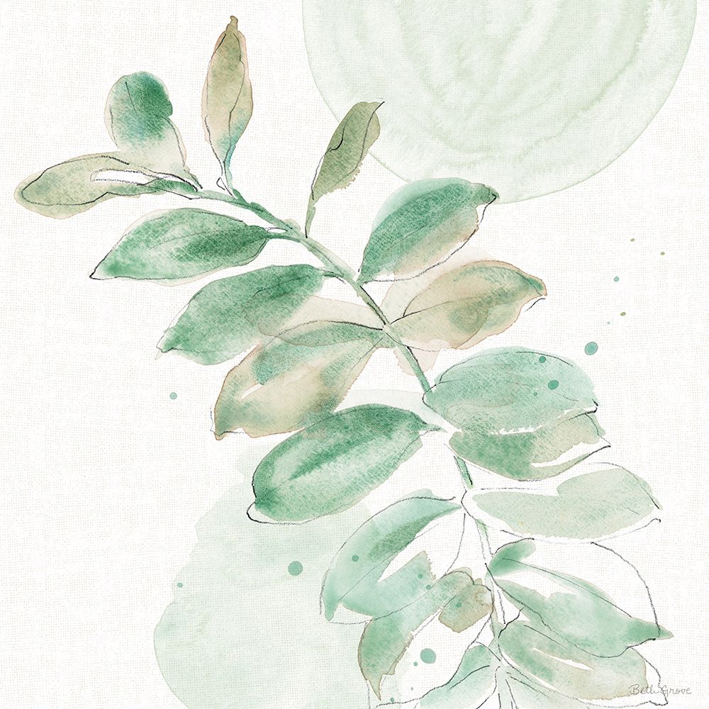 Soft Petals VII art print by Beth Grove for $57.95 CAD