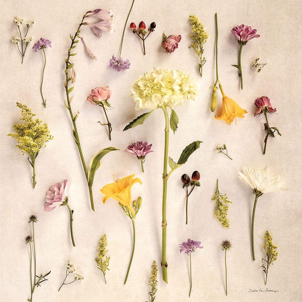 Cottage Floral II No Shell art print by Debra Van Swearingen for $57.95 CAD