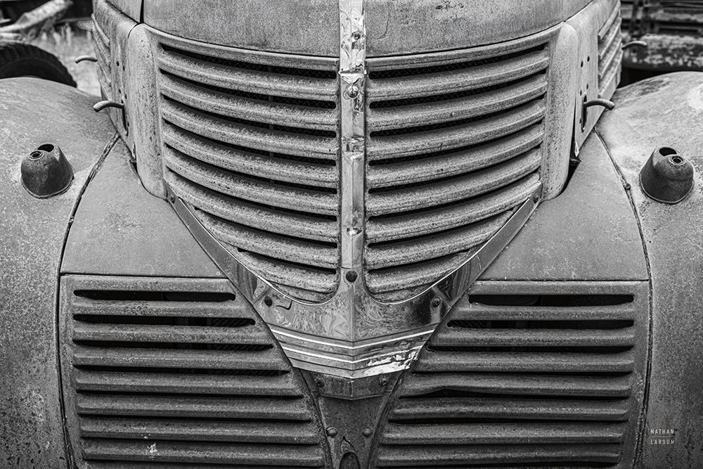 Rusted Glory I art print by Nathan Larson for $57.95 CAD