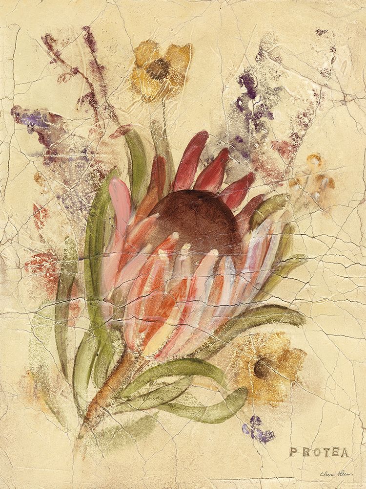 Protea art print by Cheri Blum for $57.95 CAD