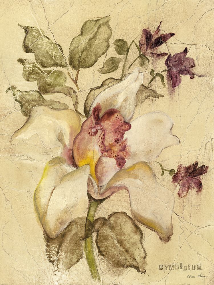 Cymbidium art print by Cheri Blum for $57.95 CAD