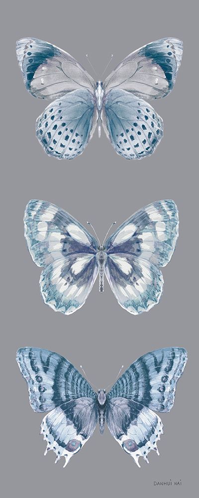 Fragile Wings Butterfly Panel Gray art print by Danhui Nai for $57.95 CAD