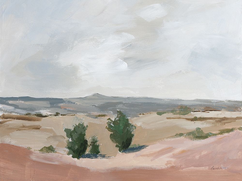 Arid art print by Pamela Munger for $57.95 CAD